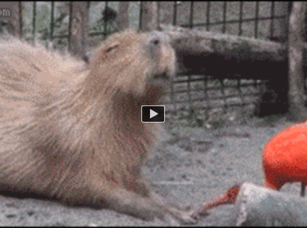 Smrtiaci úder :D :)