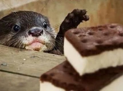 Tak blízko a zároveň tak ďaleko :) :O