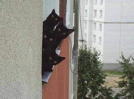 To čumíš na mňa??? :D :D