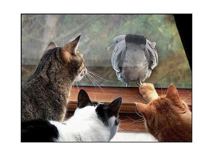 Toto vie naštvať :) :)