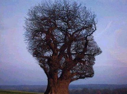 Tu sa príroda pekne vybúrila :)