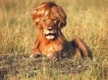 Zmenil svoj imidž :D :)