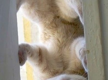 Celý svet je hore nohami :)