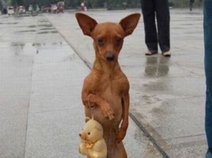 Ja som hééérečka :D :)