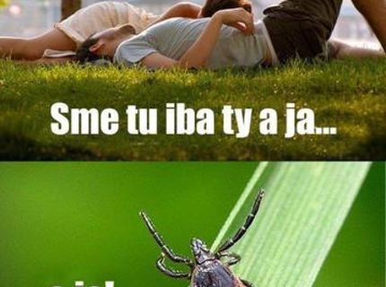 Láska nadovšetko :) :D