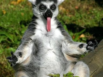 Mám ťa na háááku :O