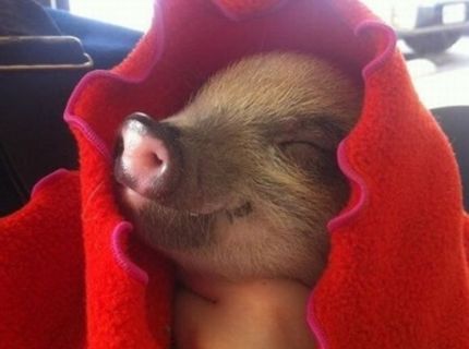 Mne je najlepšie :) :)