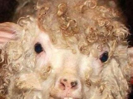 Nečakaná fotka z kamery :) :) :)