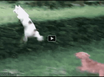 Nepodarený skok :D :)