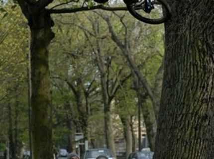 Prírodná U rampa :O