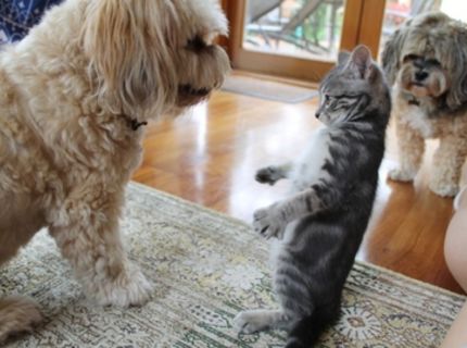 A čo keď som menšia??? :)