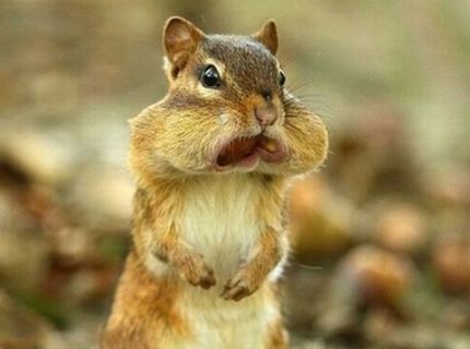 A čo ... veď som hladný :)