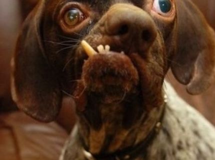 Ahoj, som Ftefanov bratranec :)