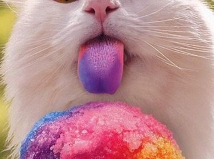 Farebná pochutina :D