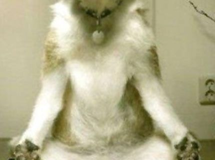 Hlavne kľúúúúúd :P