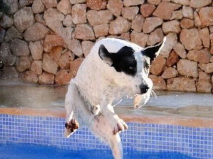 Éj tá voda je ľadová :O