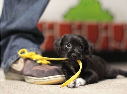 Ja sa to naučím zaviazať :P