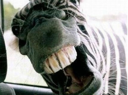 Metááááál :O :O :O