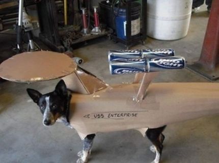 Multifunkčný pes :)