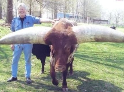 Na dĺžke ževraj nezáleží :) :D