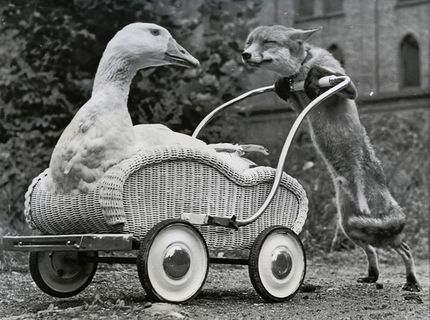 Tak a zaber...nech sme tam do večera :)