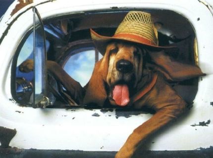 Tak čo .... ako to ide :)