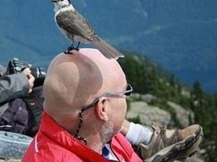 To je krásny výhľad :) :)