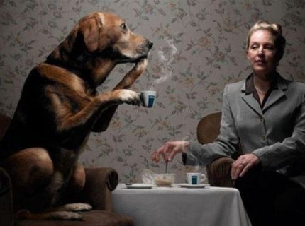 Hlavne pohodička :D