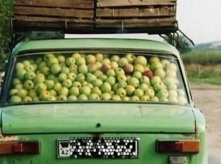 Jablková sezóna :D