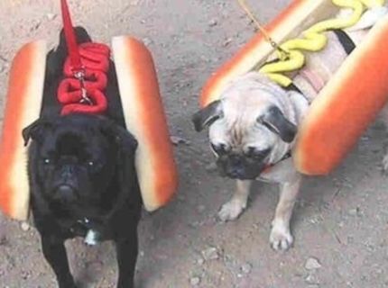 Jožo, som hladný :O