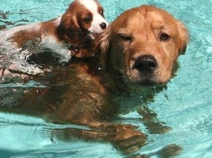 Kamarát vždy pomôže :D