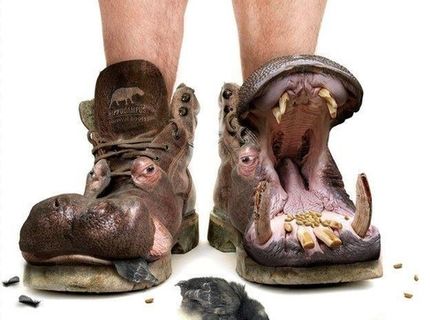 Kreatívna topánka :O