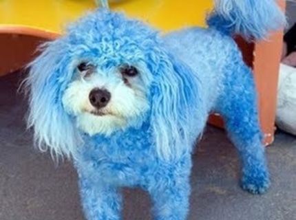 Čo to so mnou porobili? :D