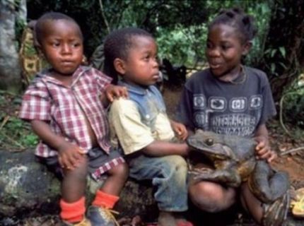 Poriadny kus žaby :)