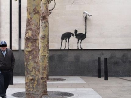 Pouličný pštros :)