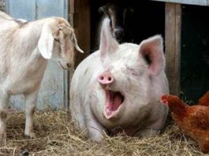 Tak ten bol dobrýýýý :D :D