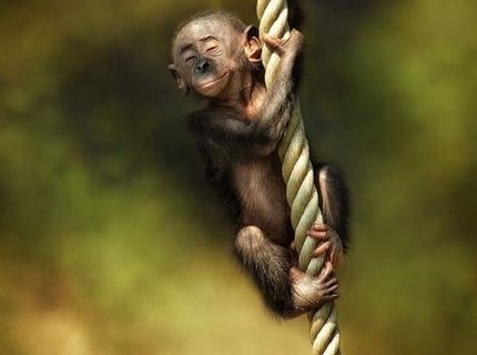 Ten pocit ... keď začne víkend :)