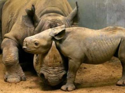 Už mi to dáva zmysel :D