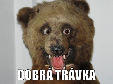 Dobrá trávka