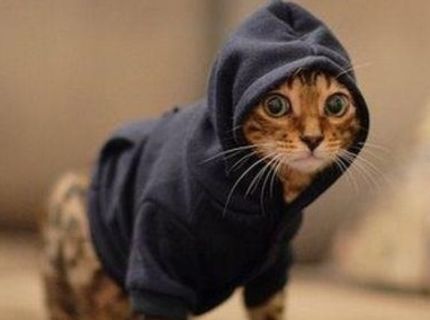 Hip hááp bráško :)