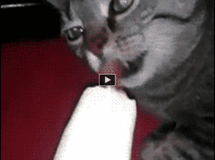 Nehutí jej palička