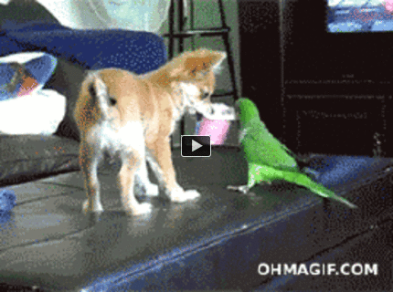 Nekradni, to je moje