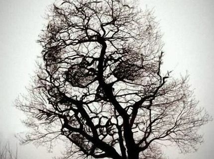 Strašideľný strom :)