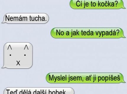 Jen popsat věc nic víc od něj nechtěl, ale on ho zabil .. :)