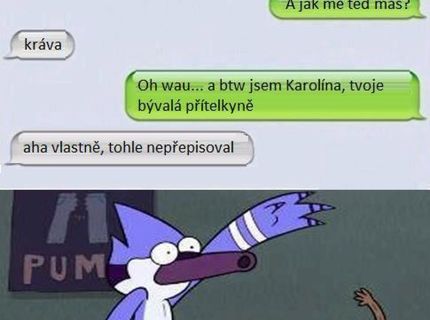 Pokud bych já někoho neměl rád tak bych neváhal ani na chvilku