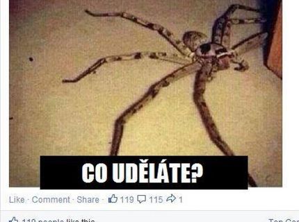 Prosím rezervujte mi jeden první třídou rovnou na severní pól ... děkuji ..: D