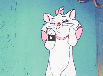 Mačky sú ako ženy