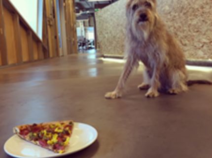 Nemôžem, mám dietu