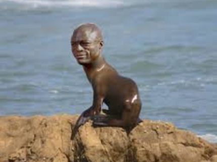 Nový druh živočícha