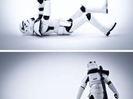 Správajú sa lepšie ako my